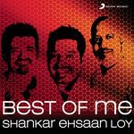 Best Of Me: Shankar Ehsaan Loy - Vikram Singh Song Download
